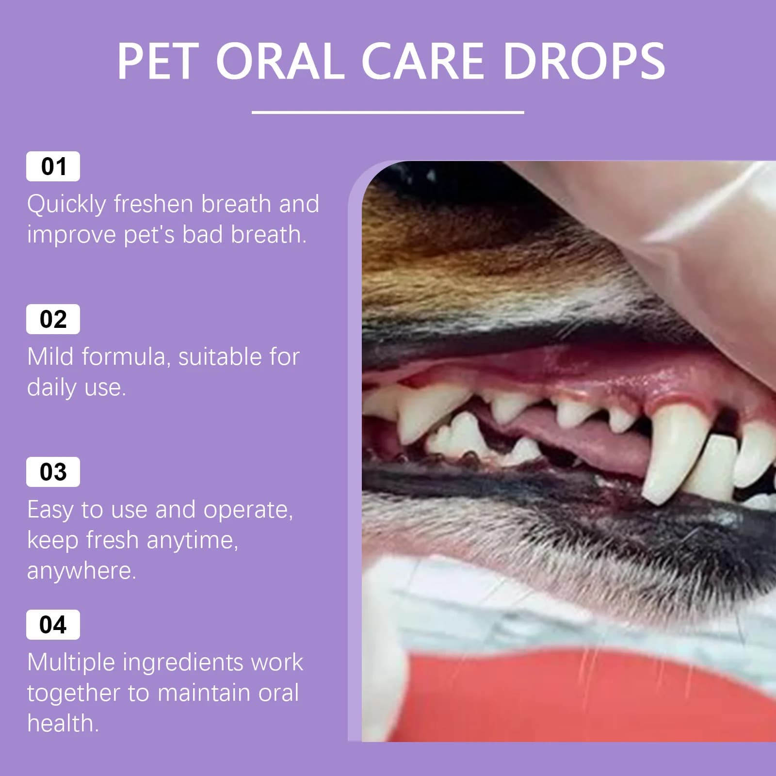 Dog & Cat Breath Freshening Spray