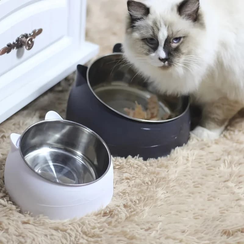 Stainless Steel Cat Ear Dual Bowl Feeder
