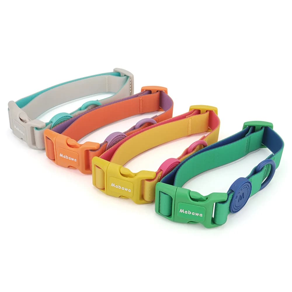 Candy Color Medium Pet Collar with Leash