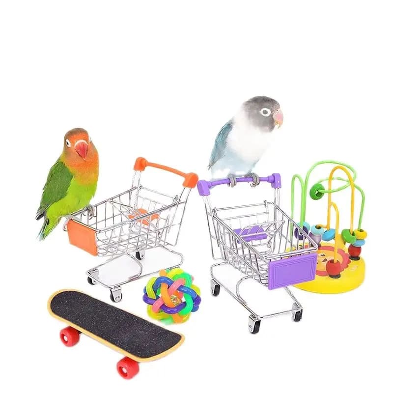 Bird Cage Activity Toy