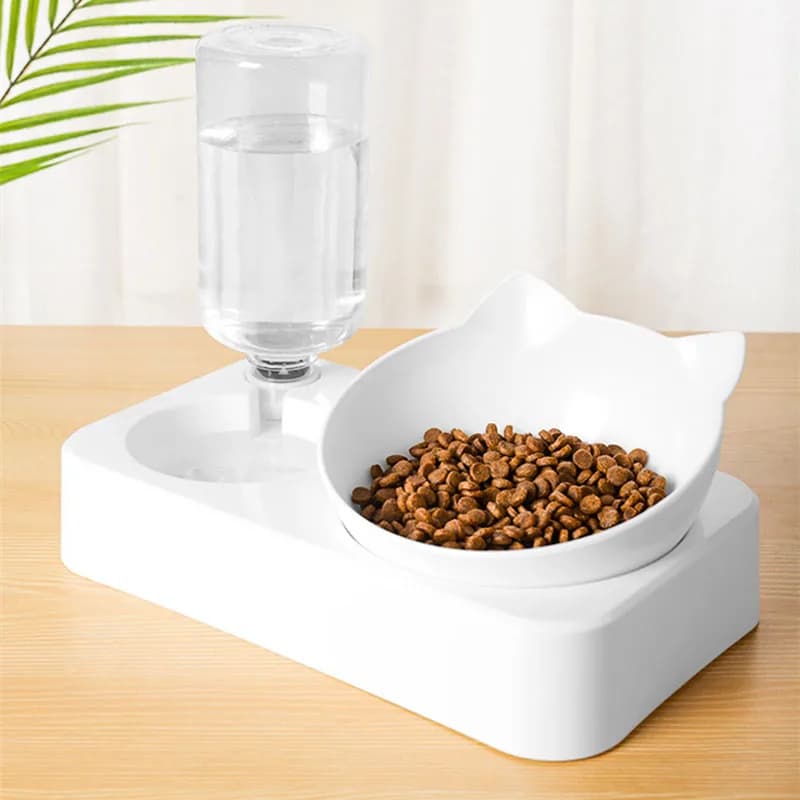 2-in-1 Pet Food and Water Feeder Bowl Set