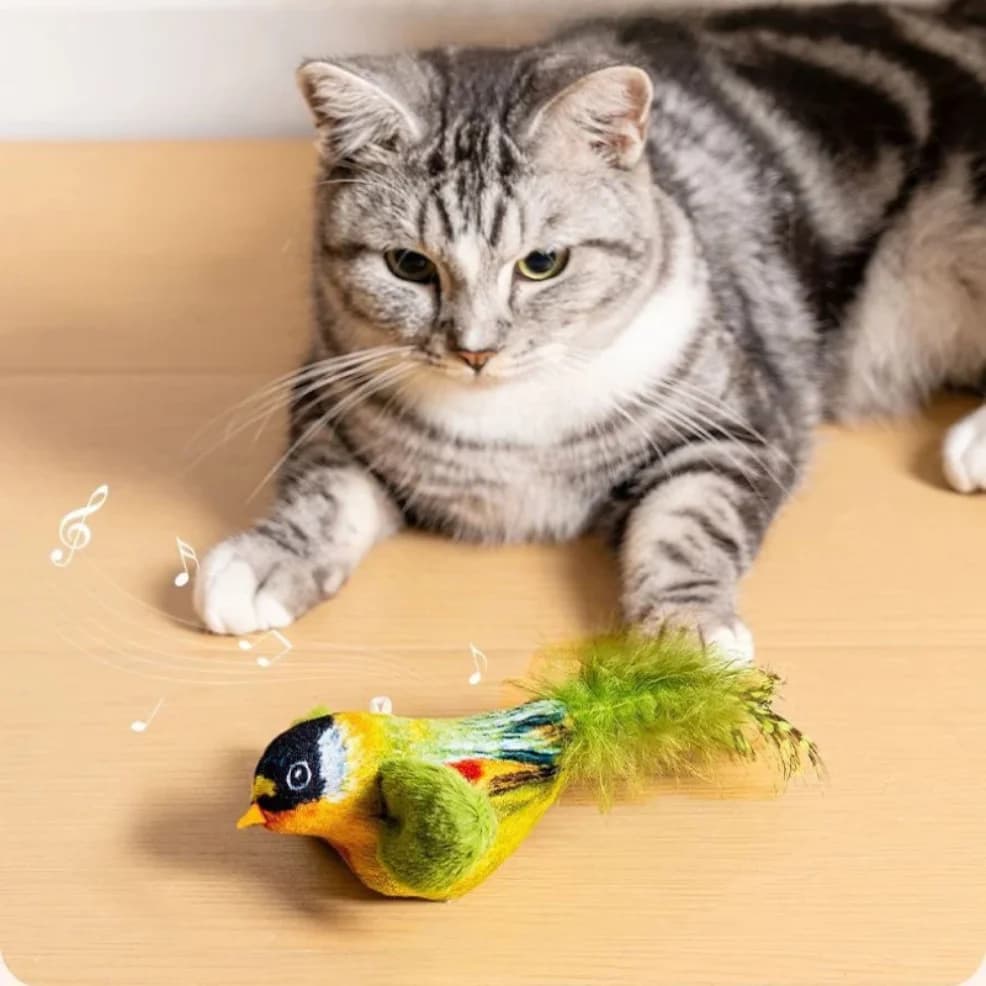 Interactive Bird Cat Toy With Catnip
