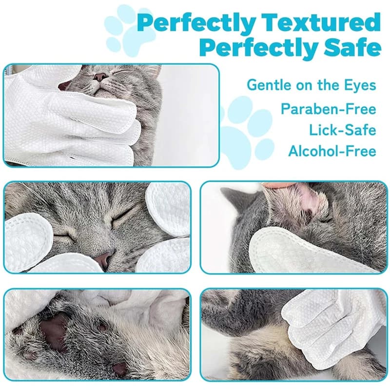 6Pcs Pet Wipes Gloves Free Cleaning Dog & Cat Wipes Puppies and Kittens Bathing Deodorization Paws Disposable Cleaning Gloves