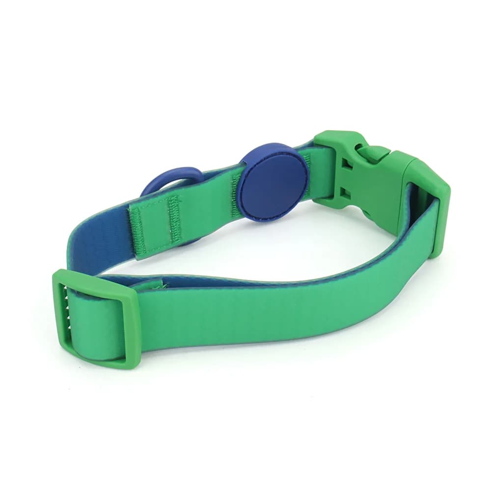 Candy Color Medium Pet Collar with Leash