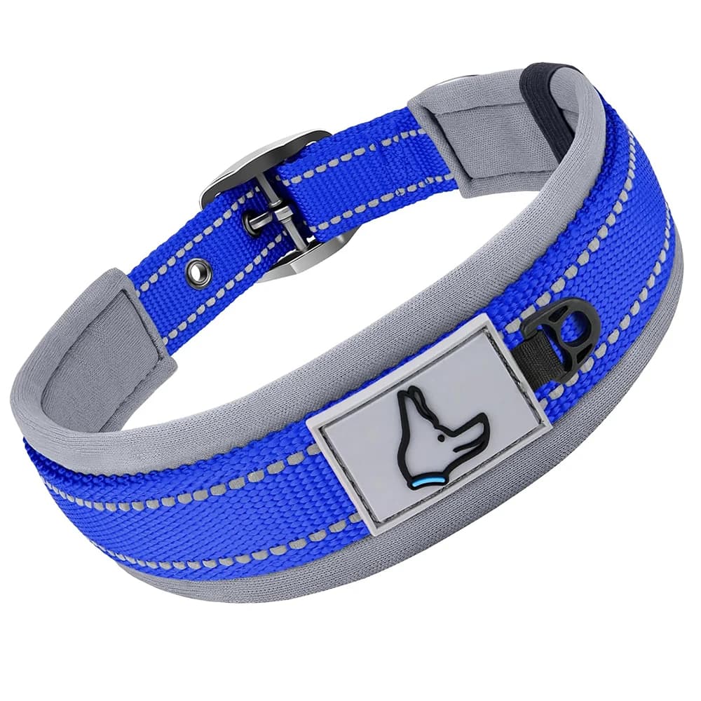 Padded Reflective Dog Collar with Metal Buckle