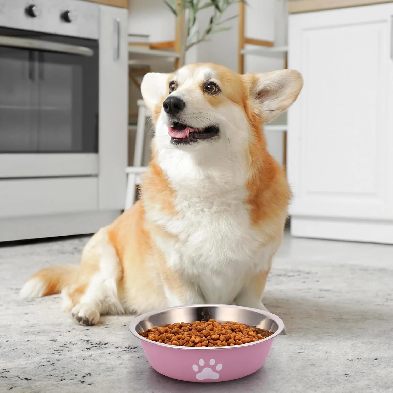 Stainless Steel Pet Feeding Bowls with Non-Slip Base