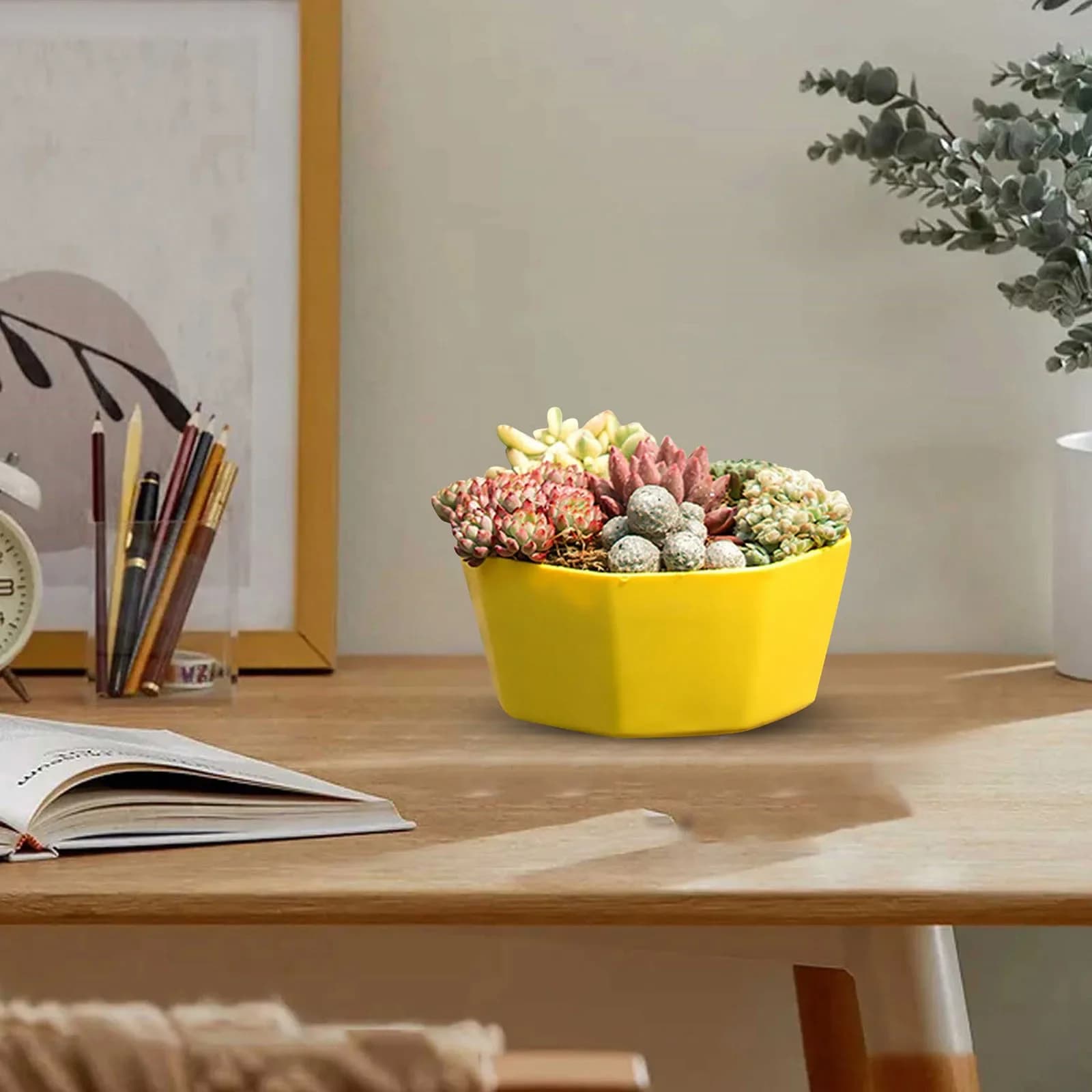 Plastic Flower Pots with Drainage and Saucers