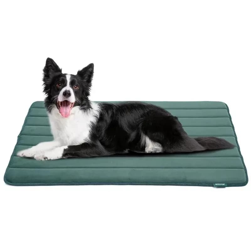 Pet Bed Cushion Mat