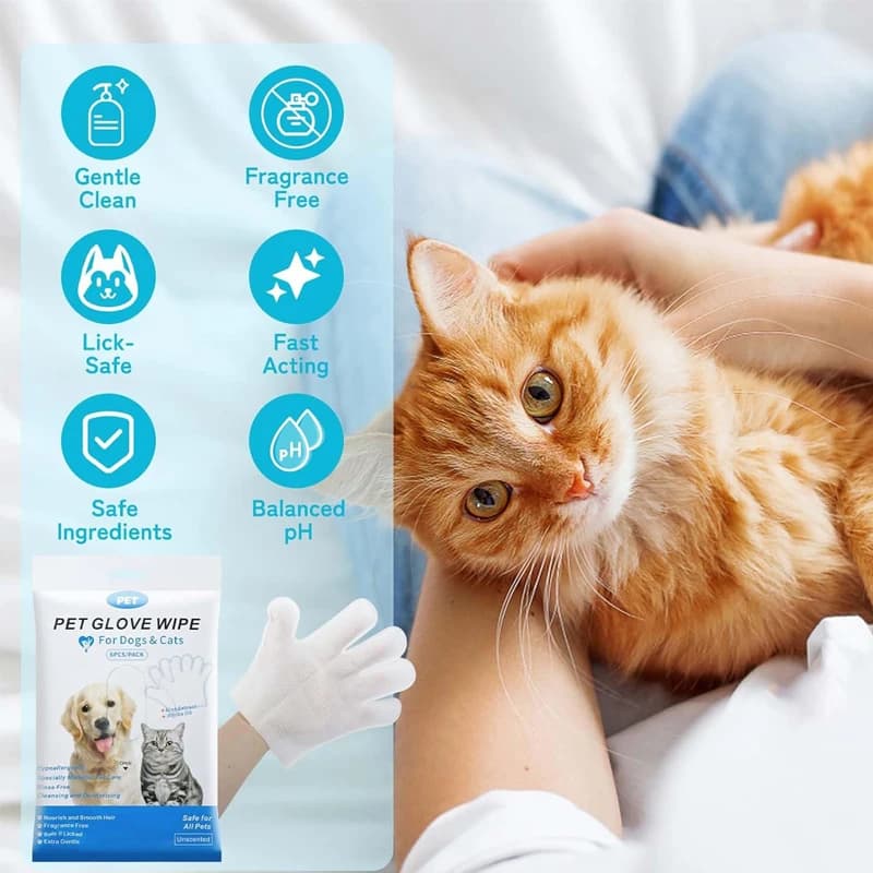 6Pcs Pet Wipes Gloves Free Cleaning Dog & Cat Wipes Puppies and Kittens Bathing Deodorization Paws Disposable Cleaning Gloves