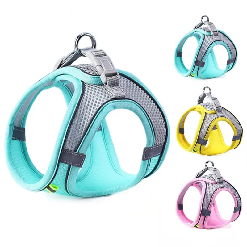 Reflective Mesh Harness and Leash Set for Cats and Small Dogs