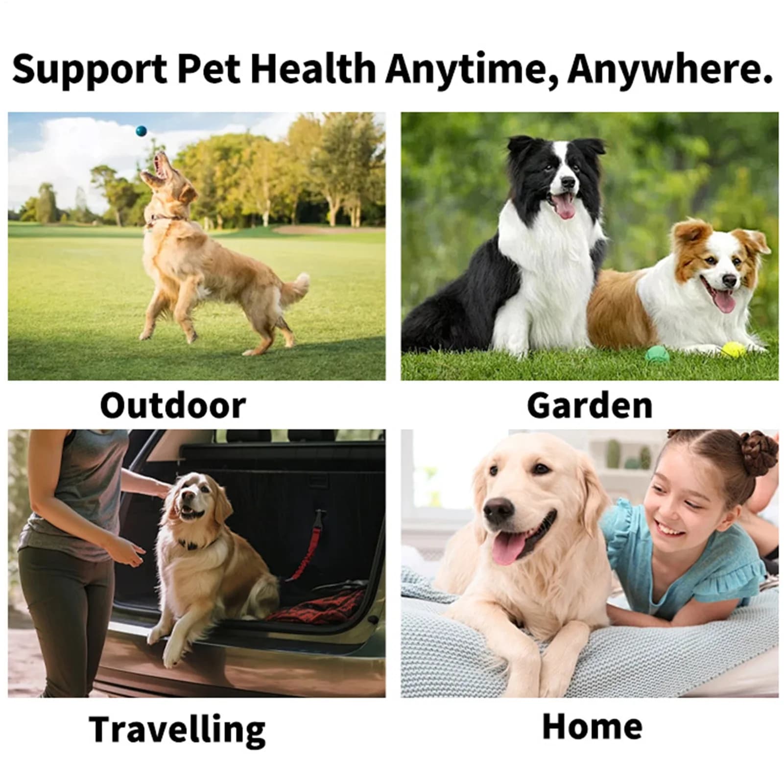 Dog and Cat Teeth Cleaning Finger Wipes