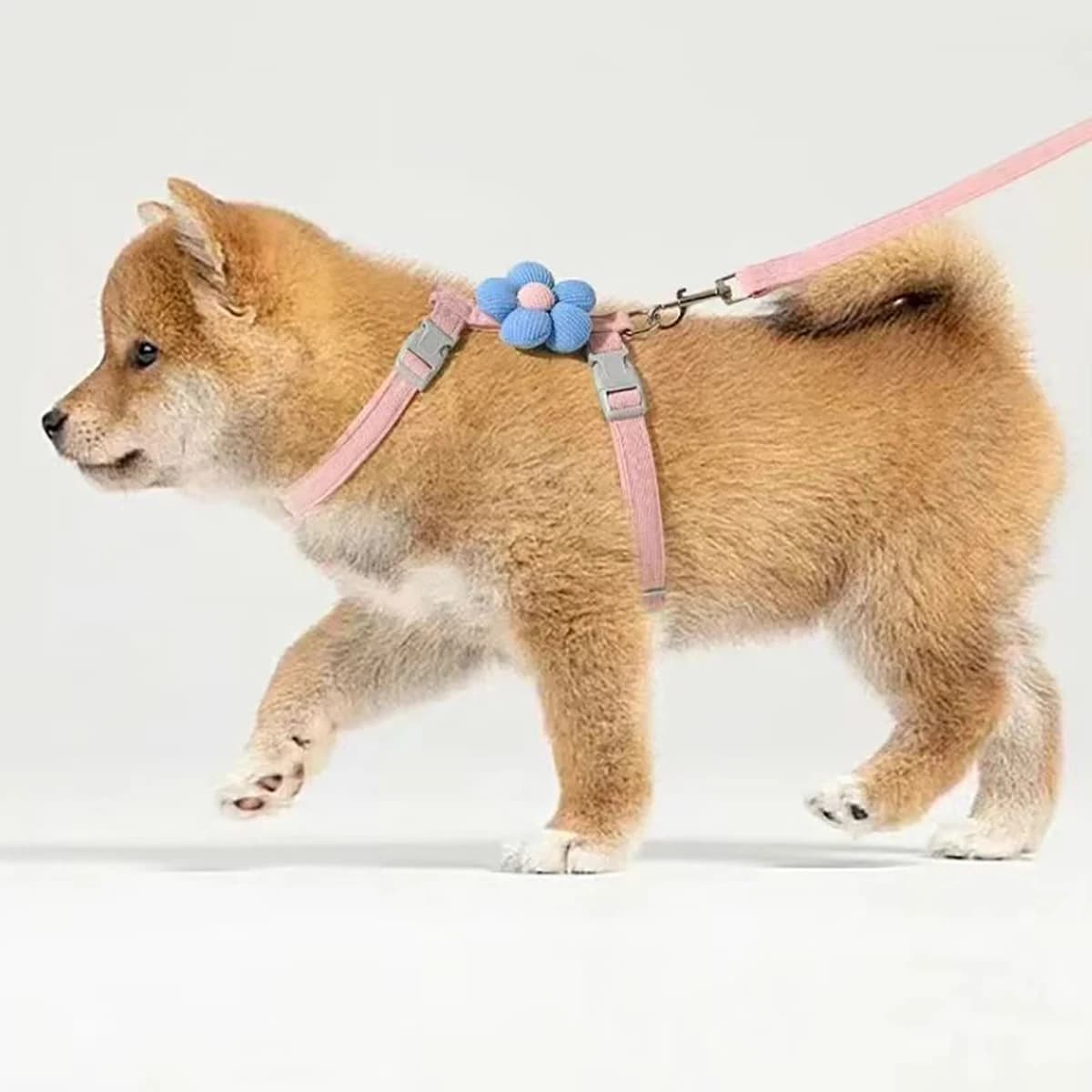 Adjustable Harness and Leash Set for Small Pets