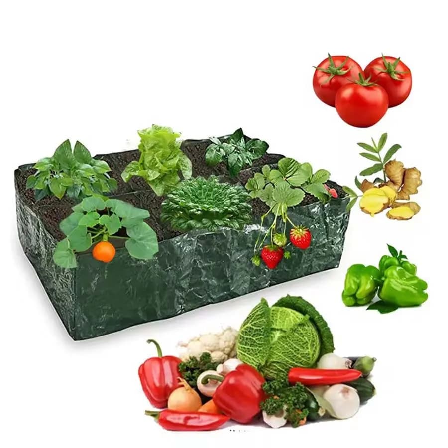 Compartment Grow Bags