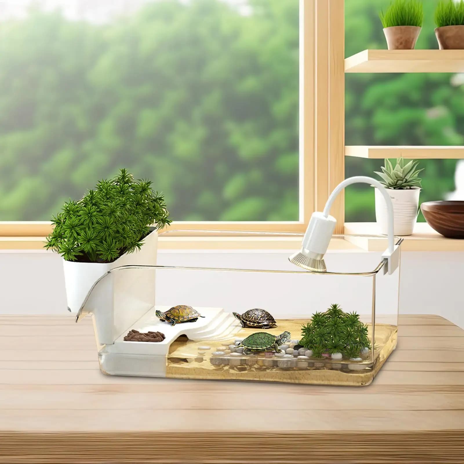 Turtle Tank with Basking Area and Habitat