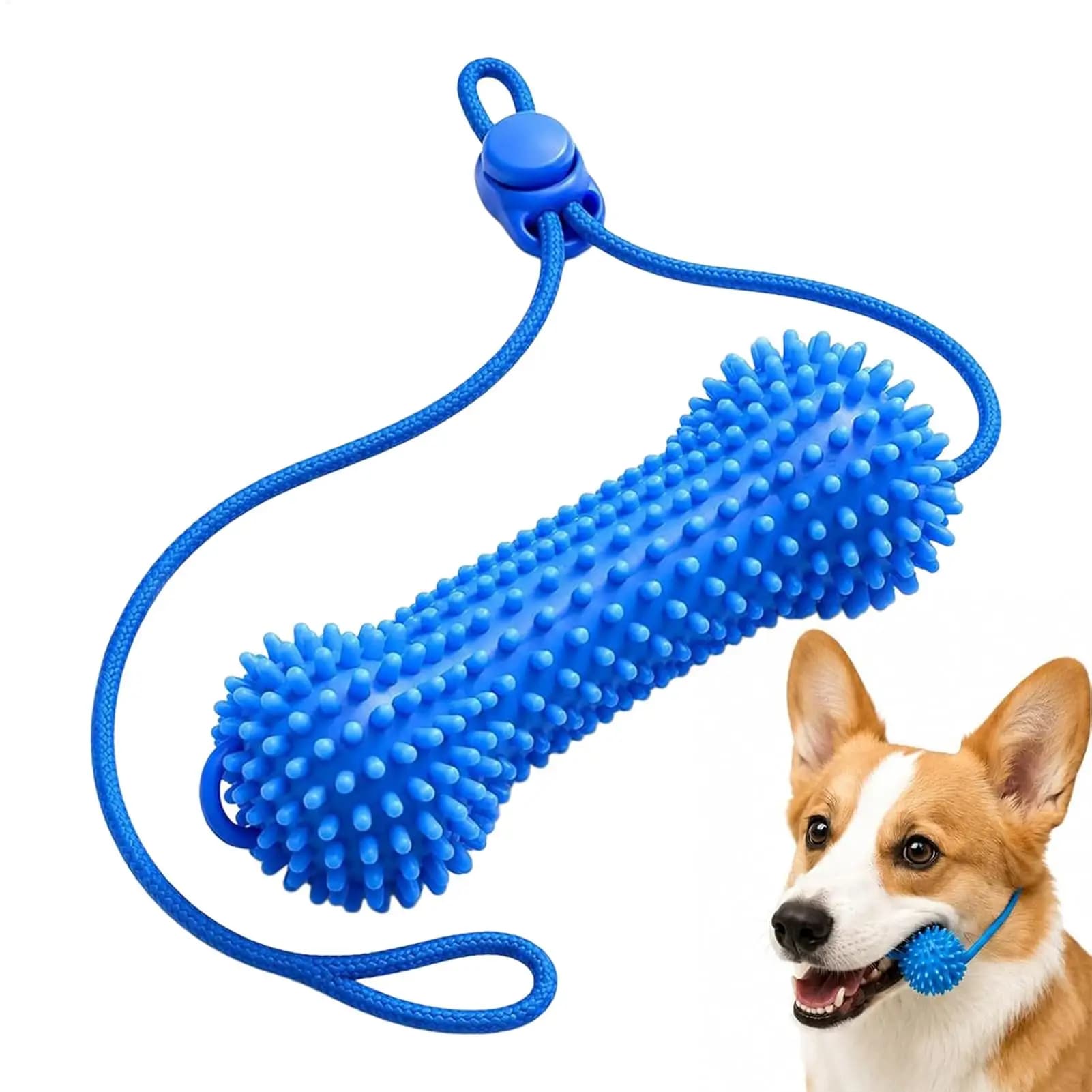Dog Dental Chew Toy with Brushing Zone