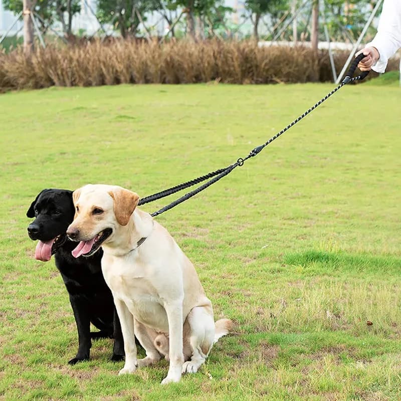 Double Dog Leash Coupler with Poop Bag