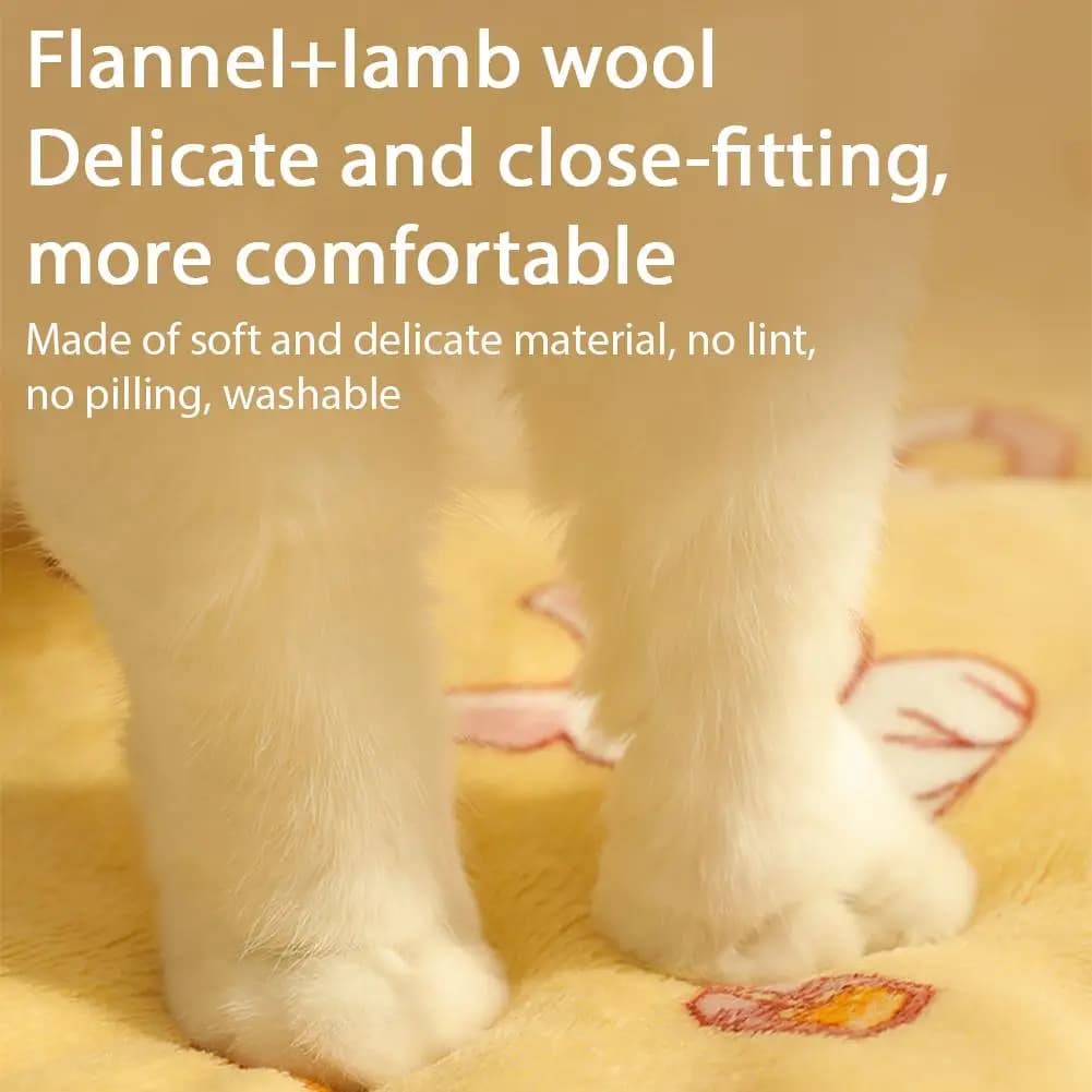 Soft Plush Pet Blanket