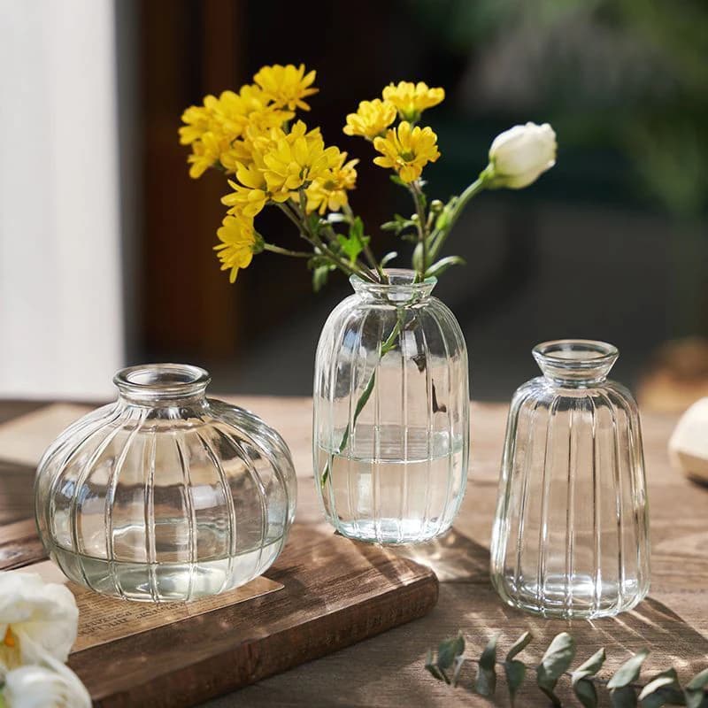 Clear Glass Minimalist Flower Vase