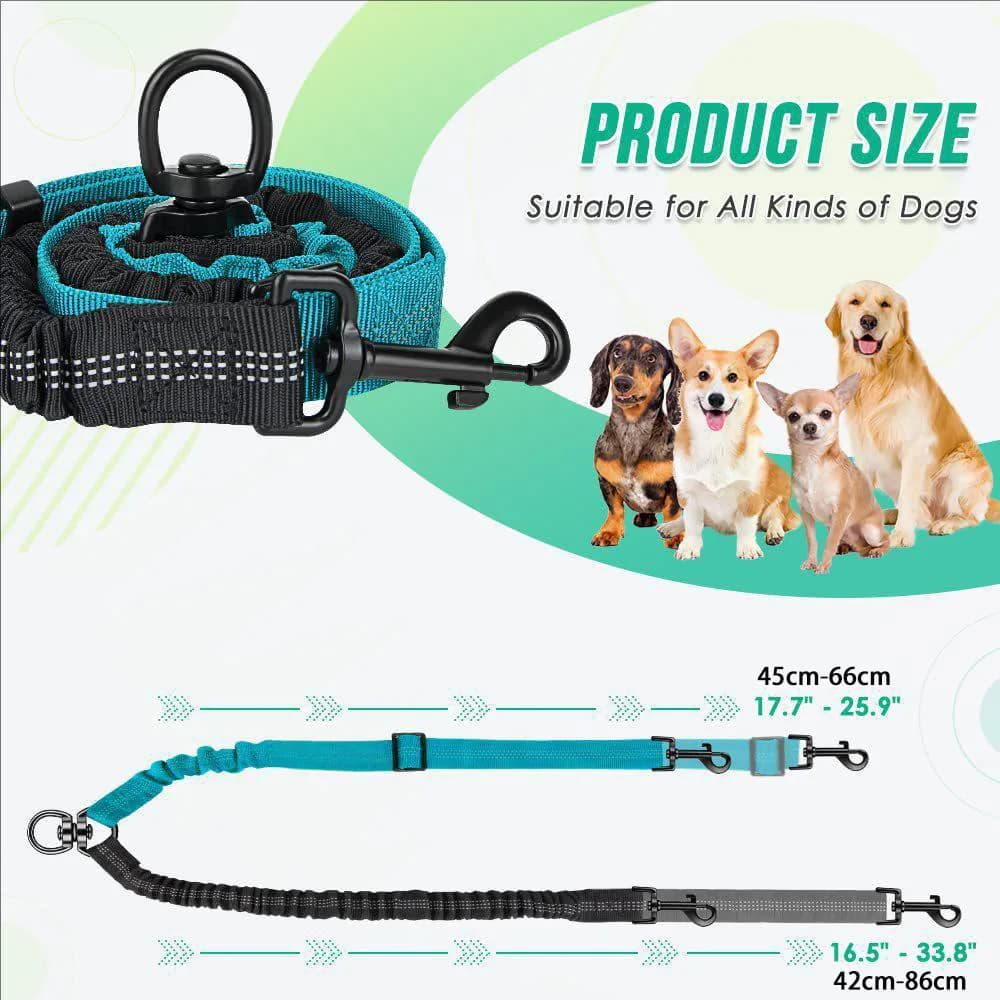 Double Dog Leash with Elastic Training Rope