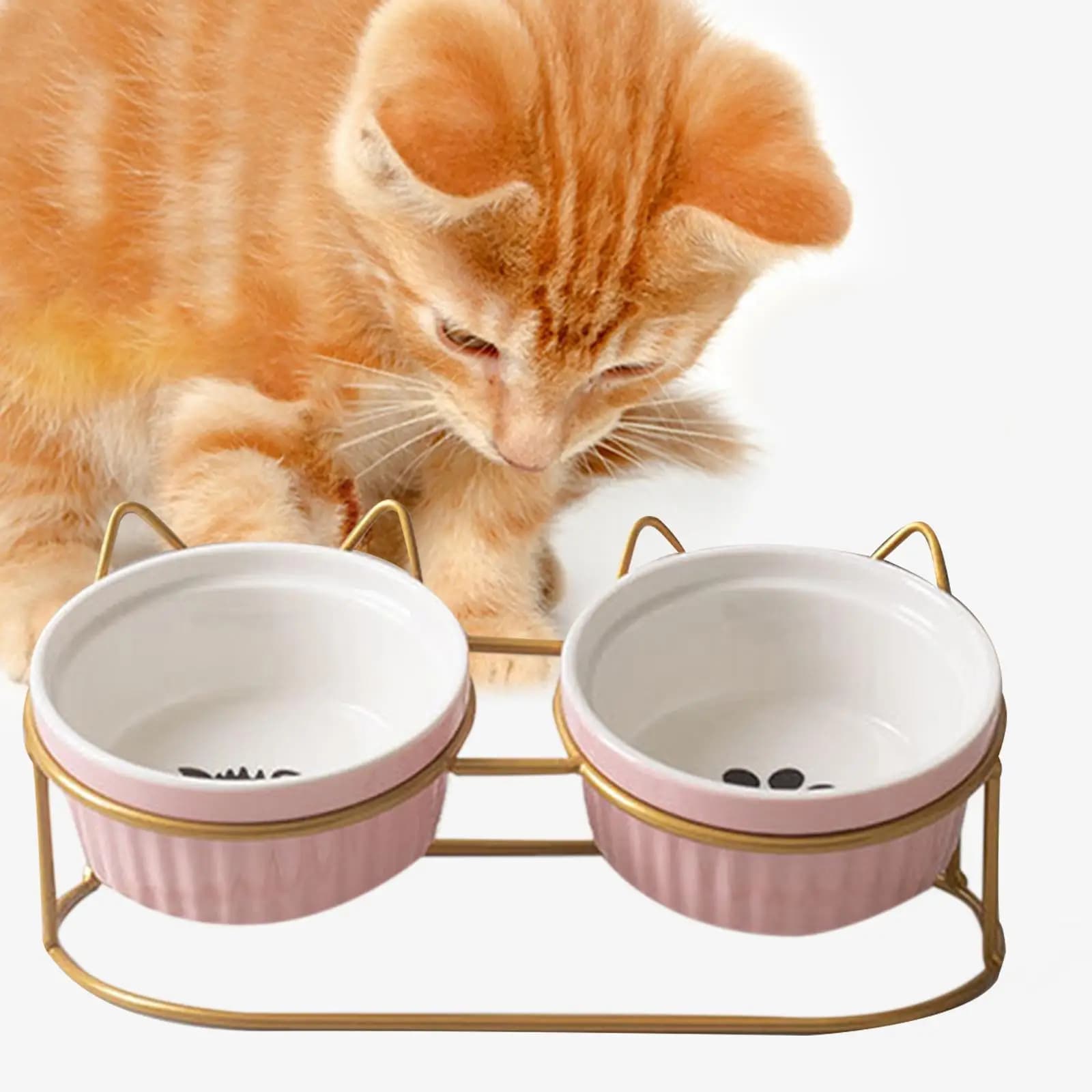 Elevated Double Cat Food Bowl Stand
