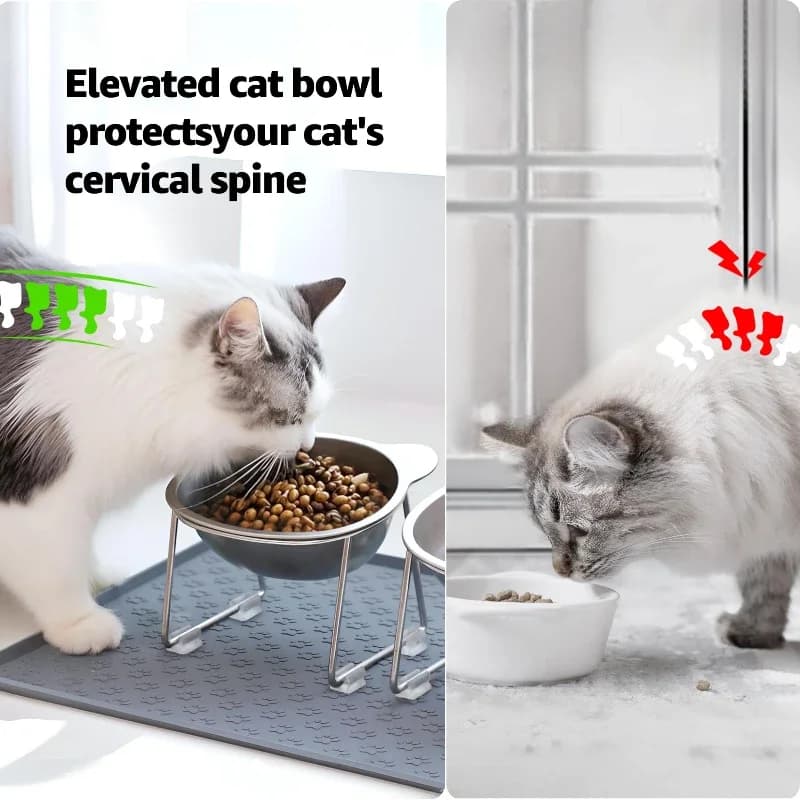 Elevated Stainless Steel Cat Bowl with Neck Guard