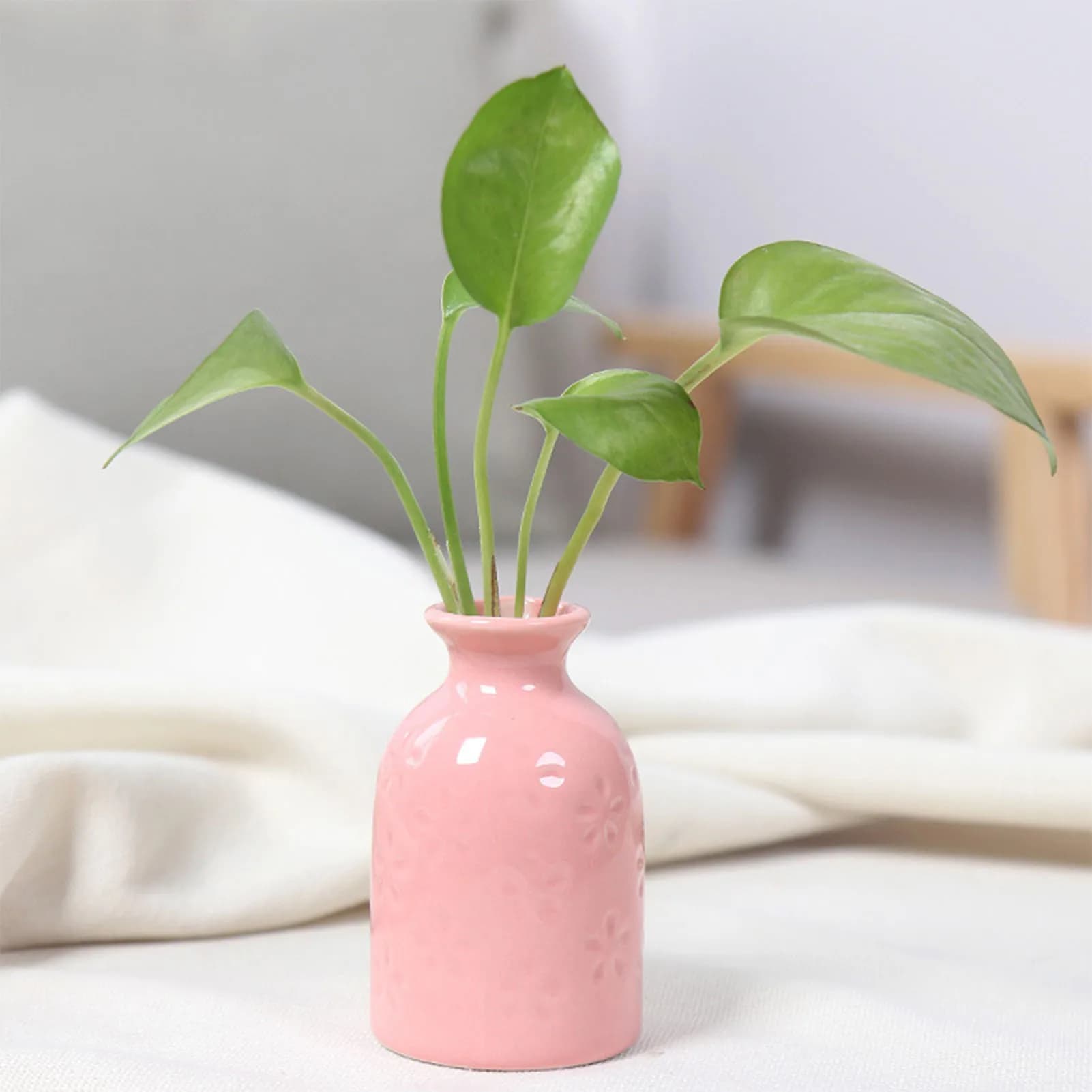 Ceramic Flower Vase for Plants