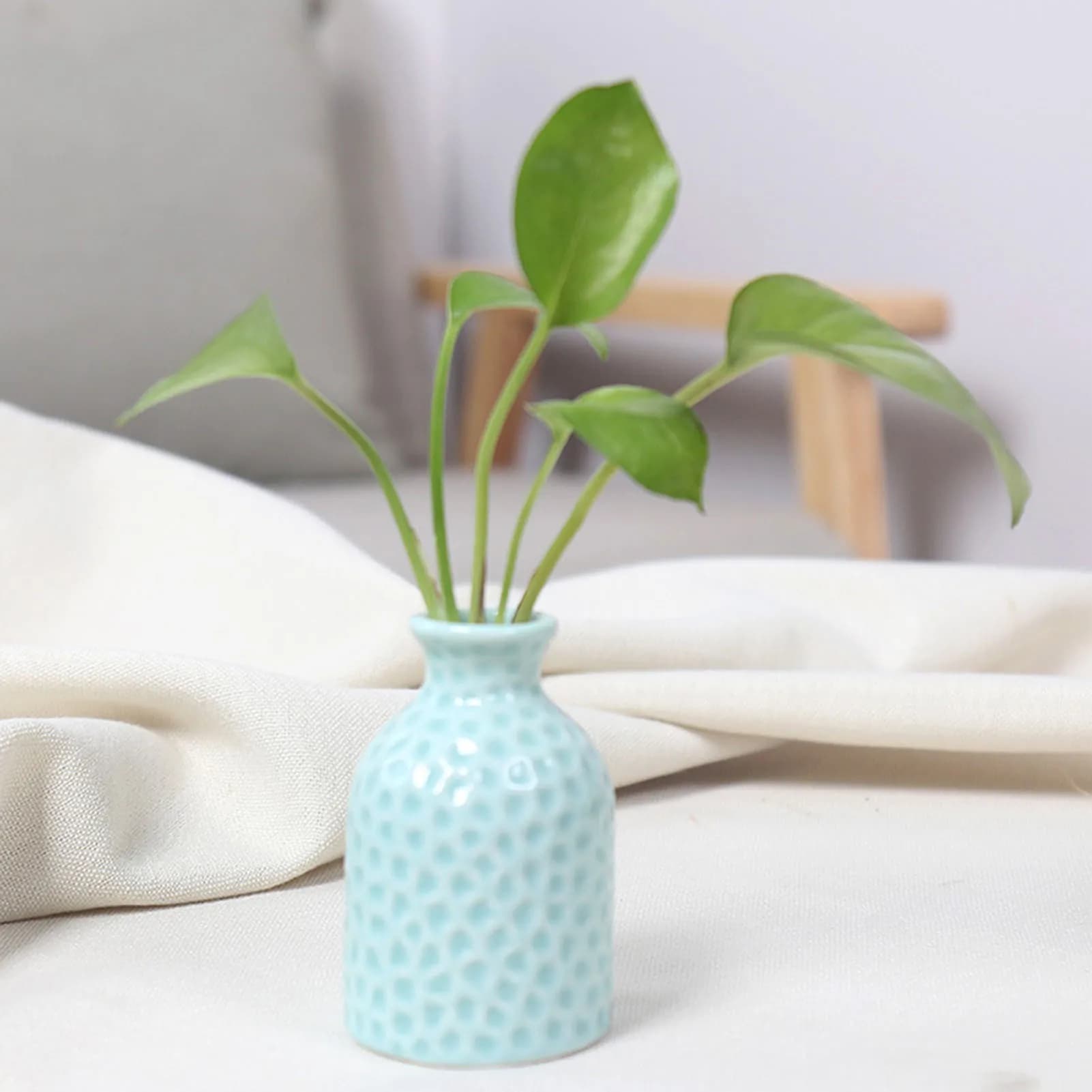 Ceramic Flower Vase for Plants