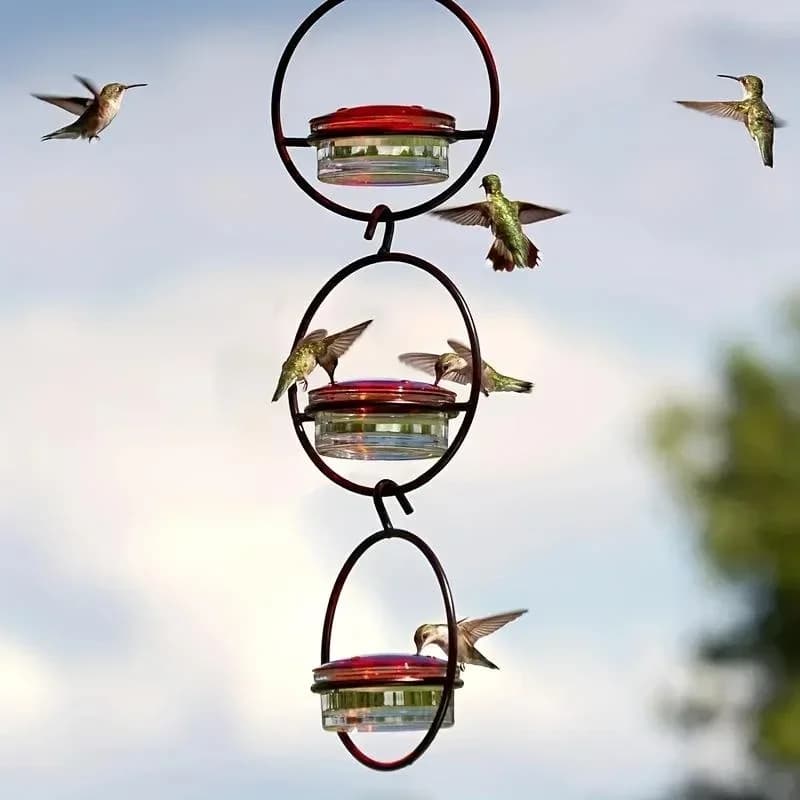 Circular Hanging Hummingbird Feeder