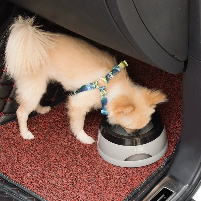 Pet Floating Water Bowl for Car Travel