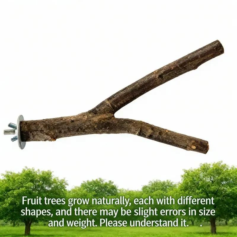 Natural Wood Forked Bird Perch Stand
