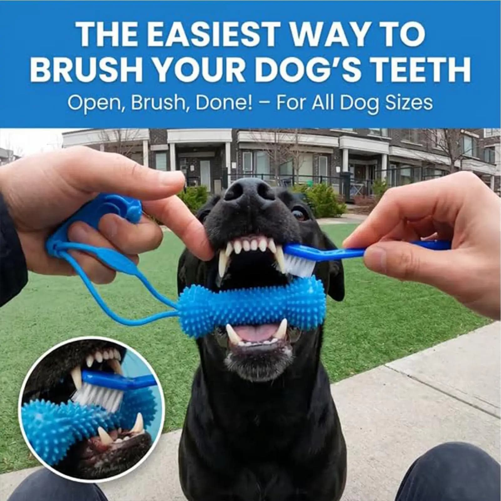 Dog Dental Chew Toy with Brushing Zone