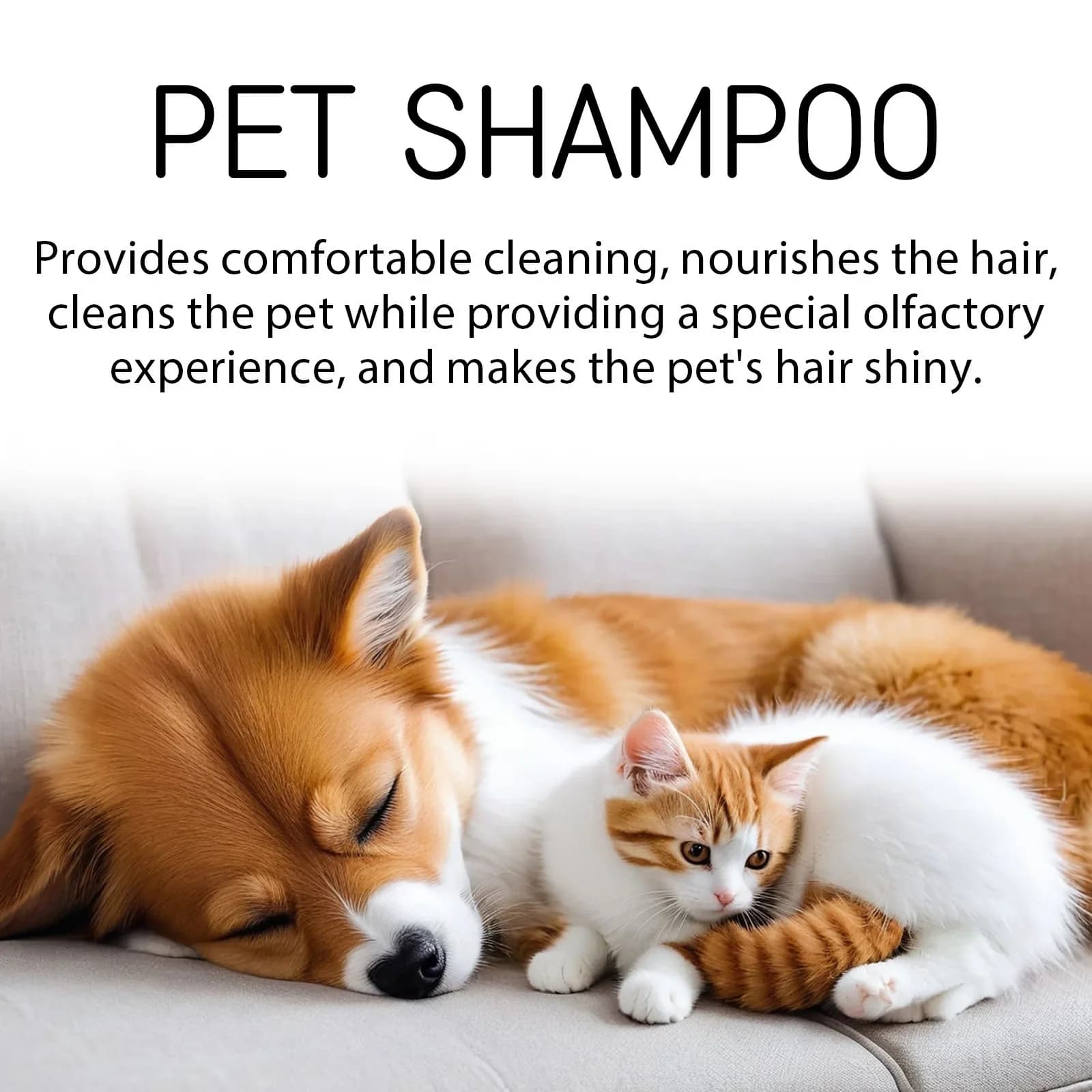 Pet Shampoo for Cats and Dogs