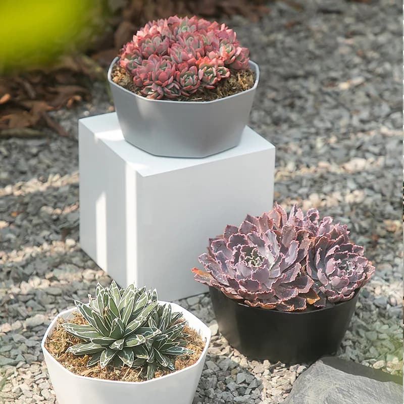 Plastic Flower Pots with Drainage and Saucers