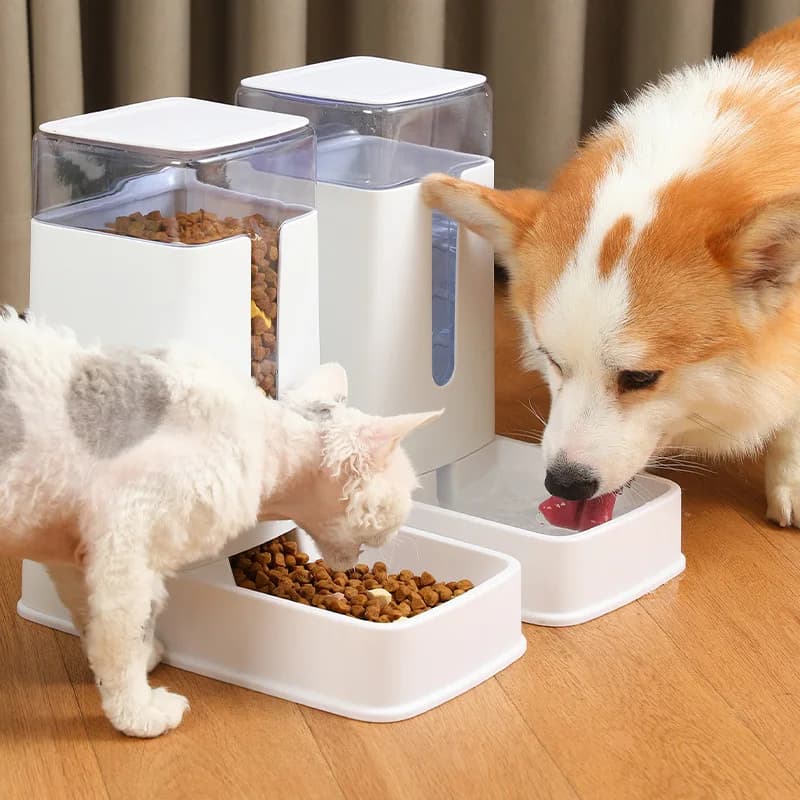 Auto Pet Food Feeder Dispenser Bowl