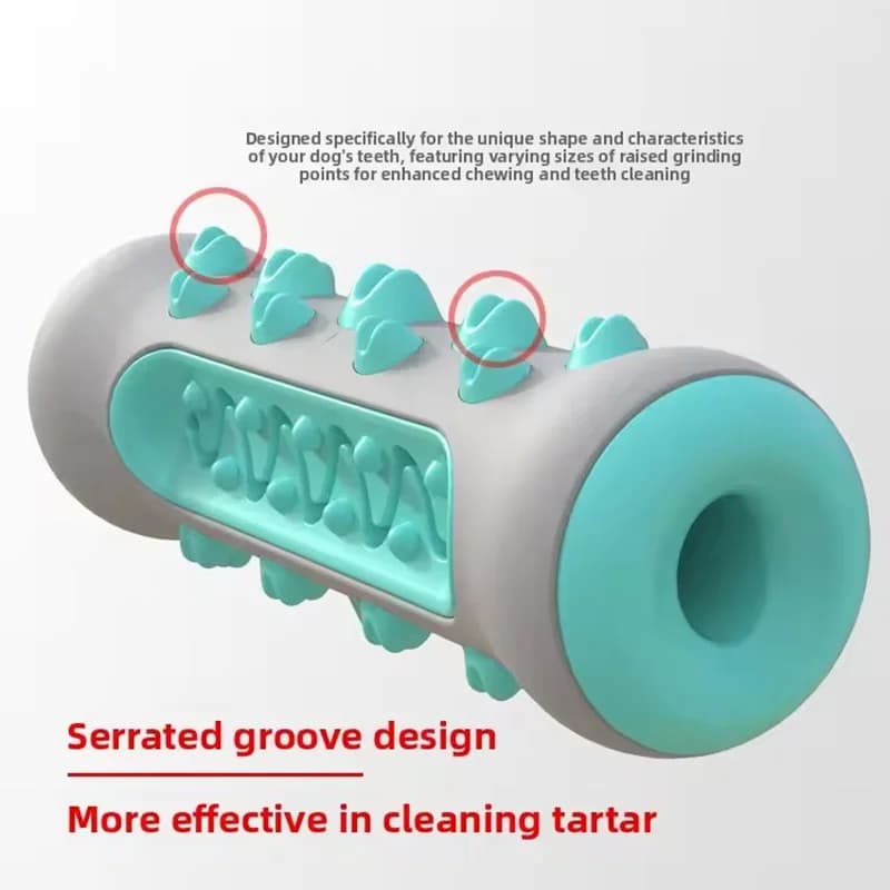 Dog Molar Dental Chew Toy with Treat Dispenser