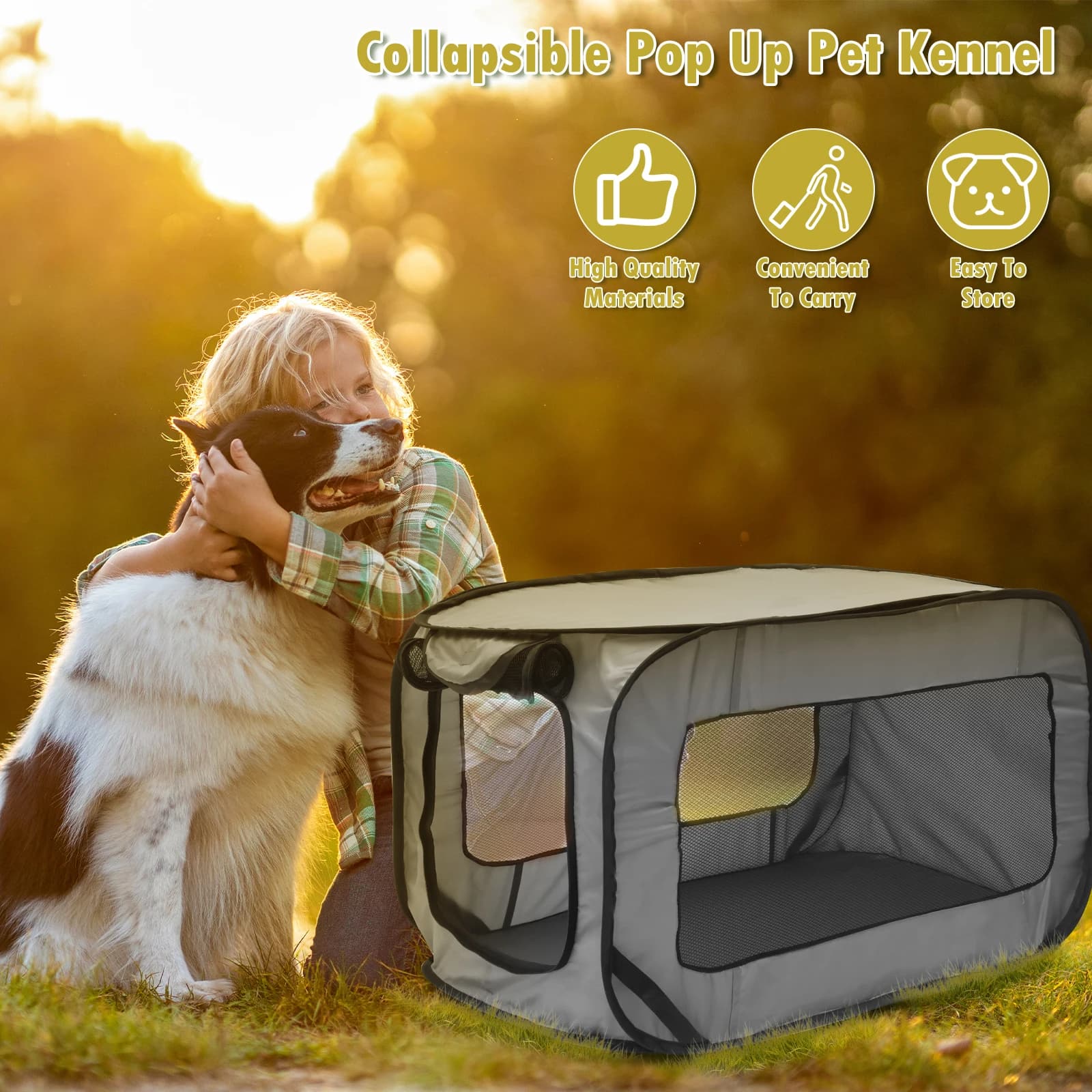 Foldable Dog Travel Crate with Mesh Door