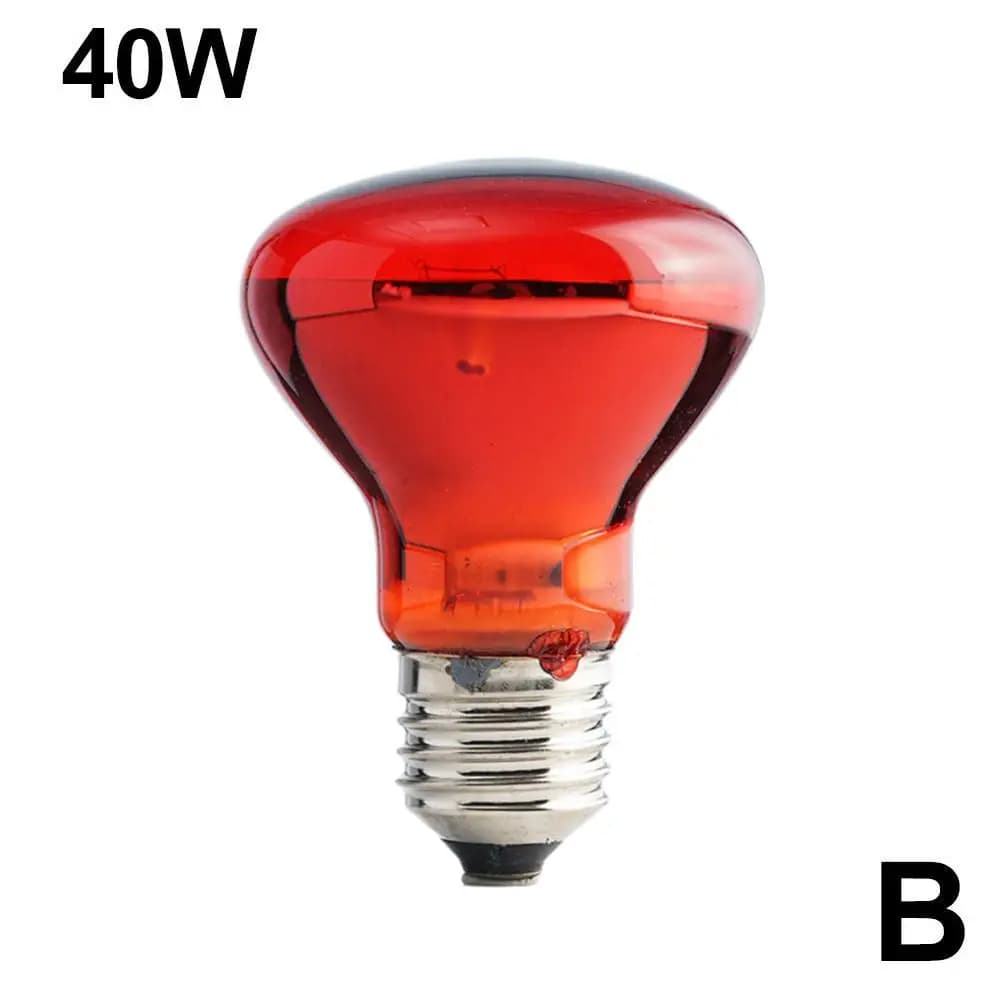 Reptile Heat Lamp Bulb UVA Day Night 25-100W