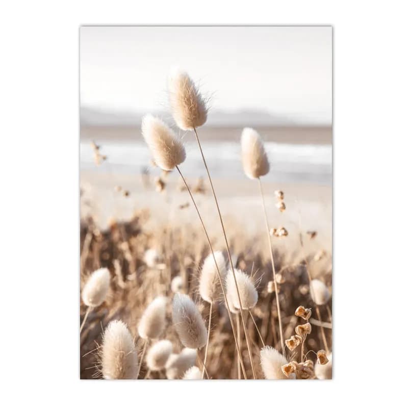 Natural Scenery Reed Grass Beach Canvas Wall Art