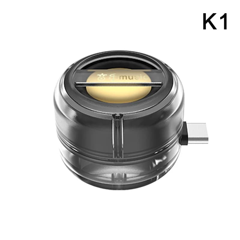 Portable Mini Wireless Speaker with USB-C and Aux