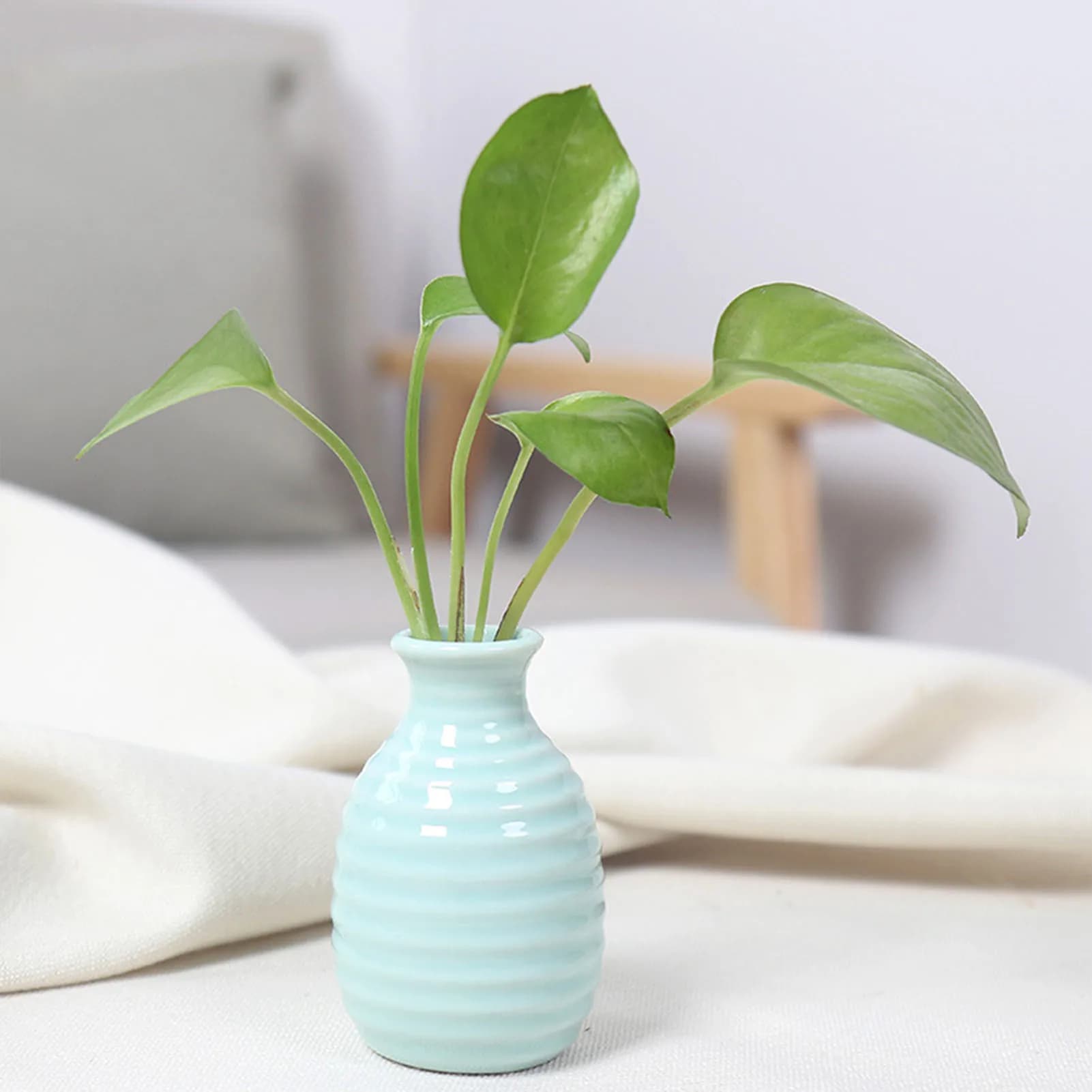 Ceramic Flower Vase for Plants