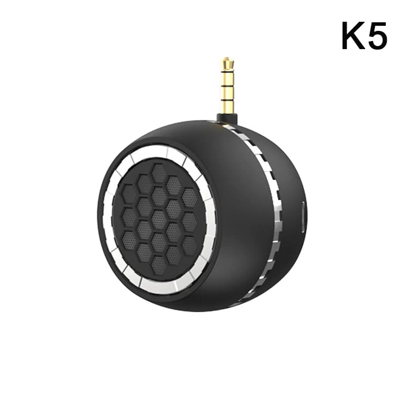 Portable Mini Wireless Speaker with USB-C and Aux