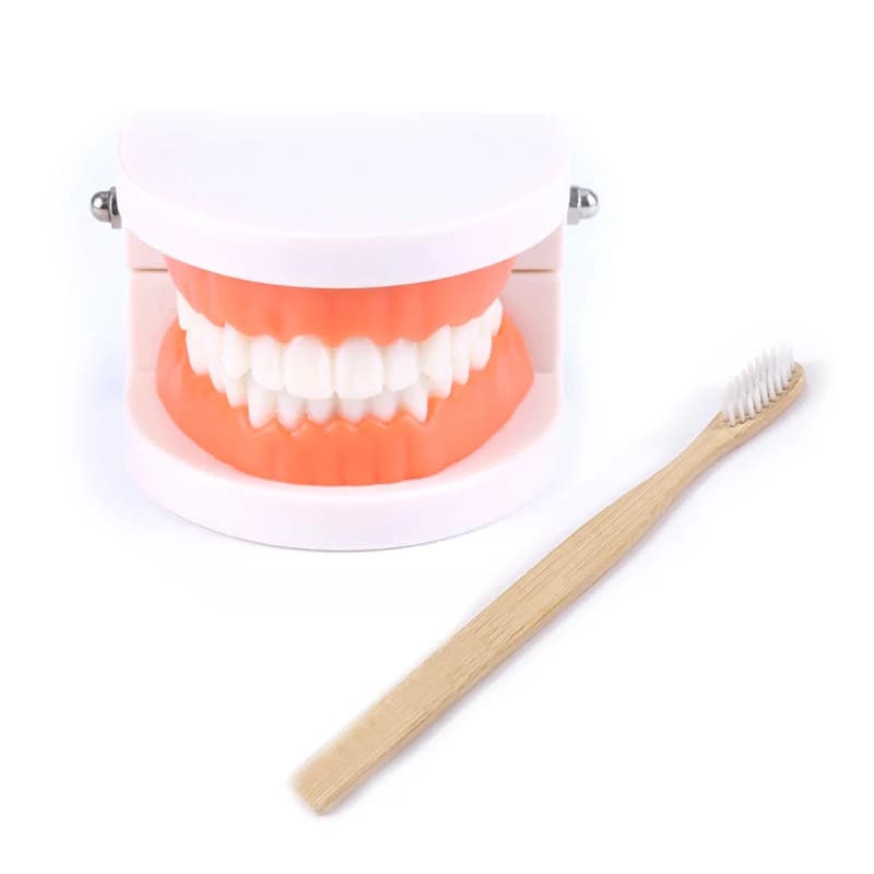 Montessori Practical Life Learning Toy Set