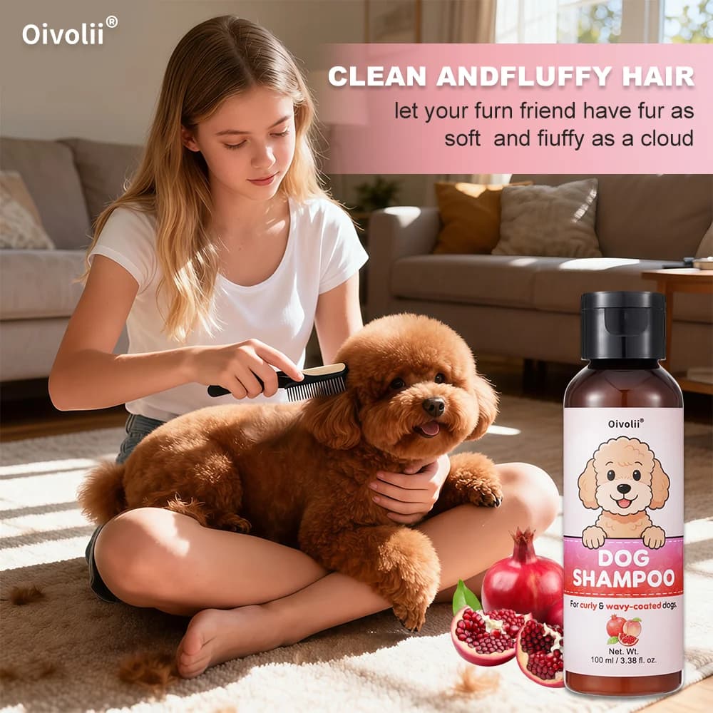 Curly Coat Dog Shampoo and Conditioner
