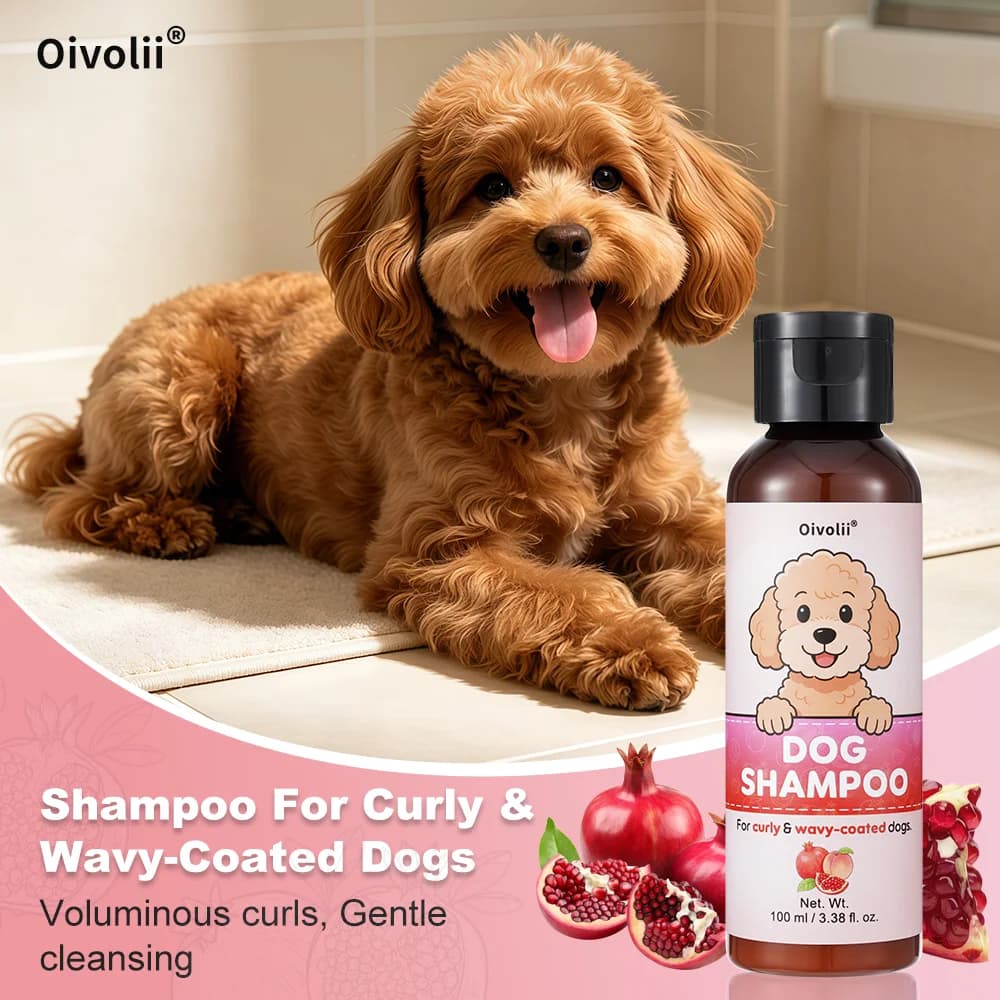 Curly Coat Dog Shampoo and Conditioner