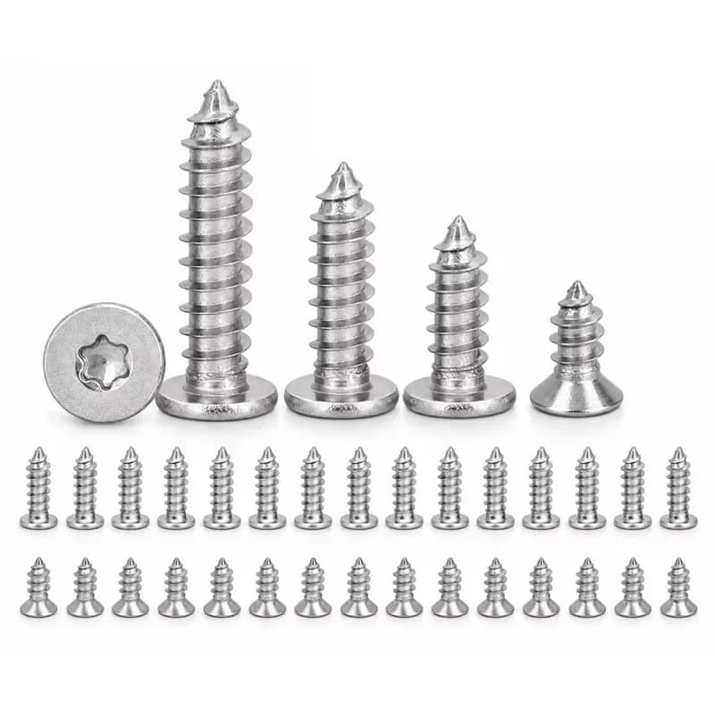 Stainless Steel Star Drive Self-Tapping Screws