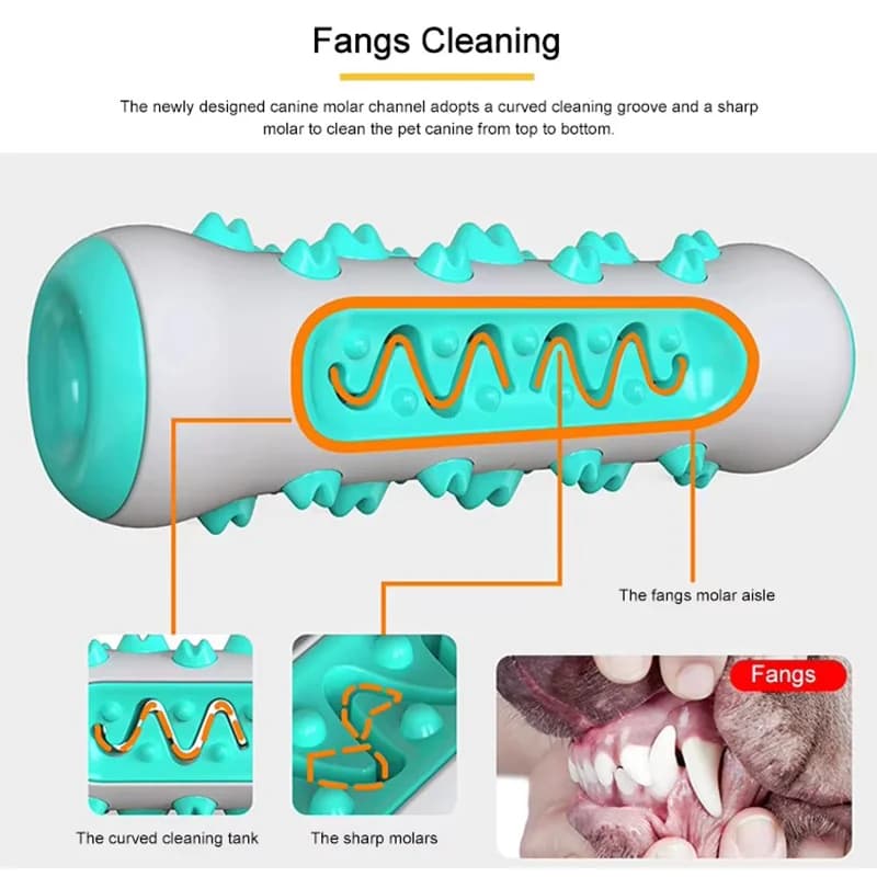 Dog Molar Dental Chew Toy with Treat Dispenser