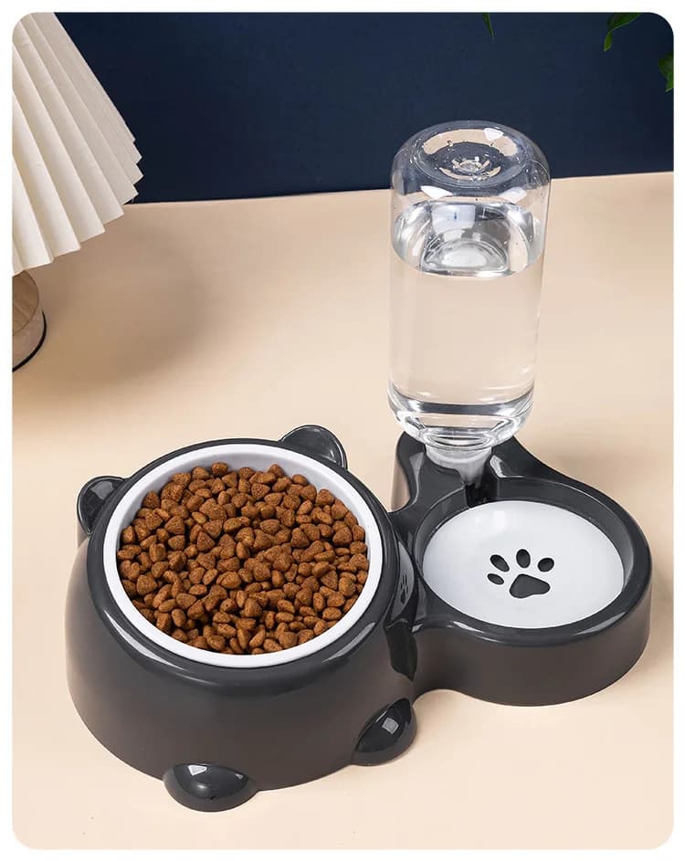 Elevated Dual Pet Feeder Bowl