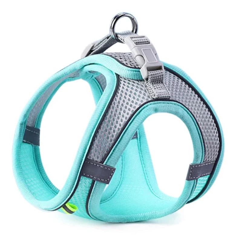 Reflective Mesh Harness and Leash Set for Cats and Small Dogs