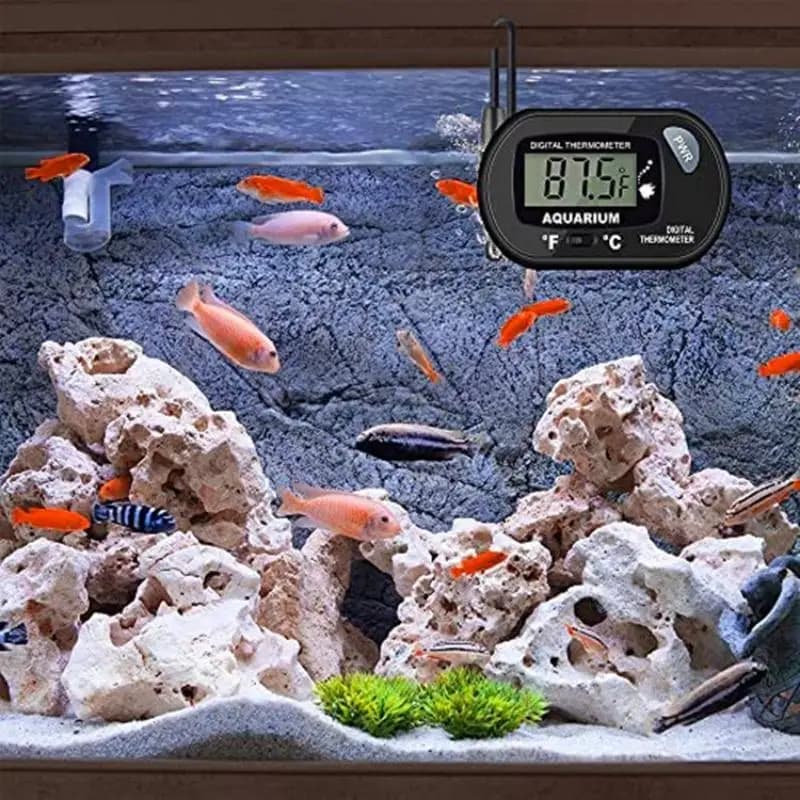 Digital Aquarium Thermometer with Suction Cup
