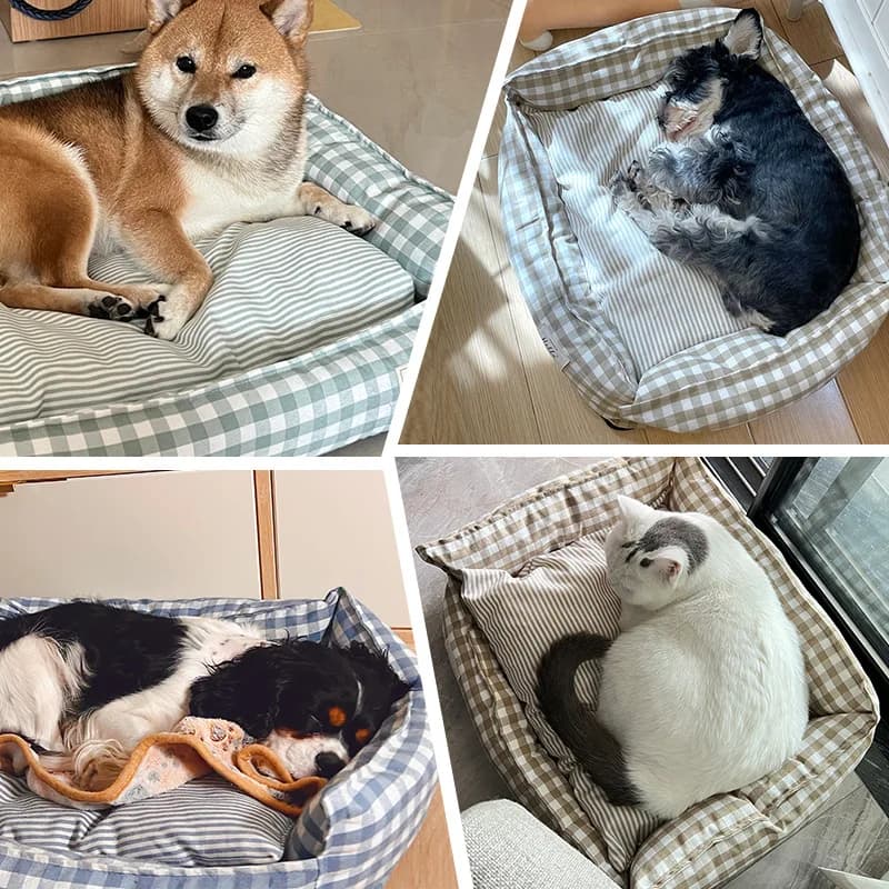 Enclosed Pet Bed and Sofa